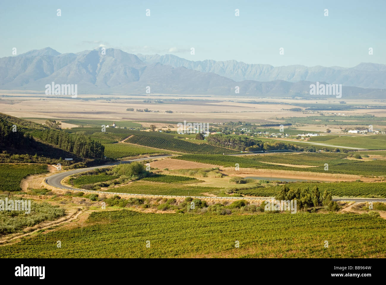 Riebeek Kasteel valley in Swartland, Western Cape, Sud Africa. La città ospita un annuale festival di oliva. Foto Stock