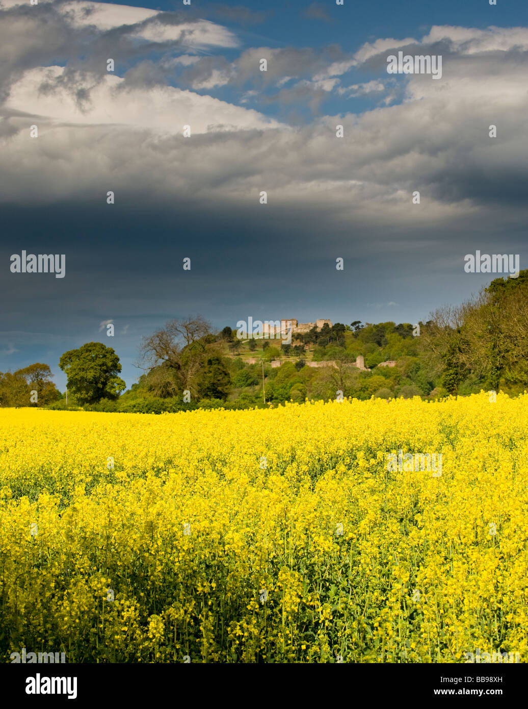 Cielo tempestoso oltre Beeston Castello con campo di colza in primo piano, Beeston, Cheshire, Inghilterra, Regno Unito Foto Stock