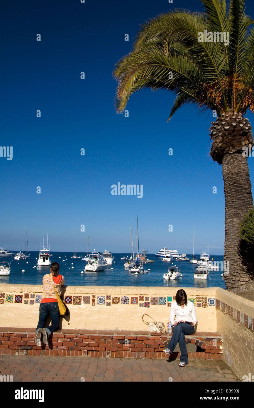 Vista del porto di Avalon sull isola Catalina California USA Foto Stock
