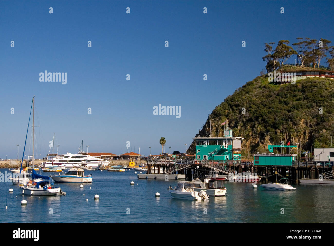 Il molo di verde nel porto di Avalon sull isola Catalina California USA Foto Stock