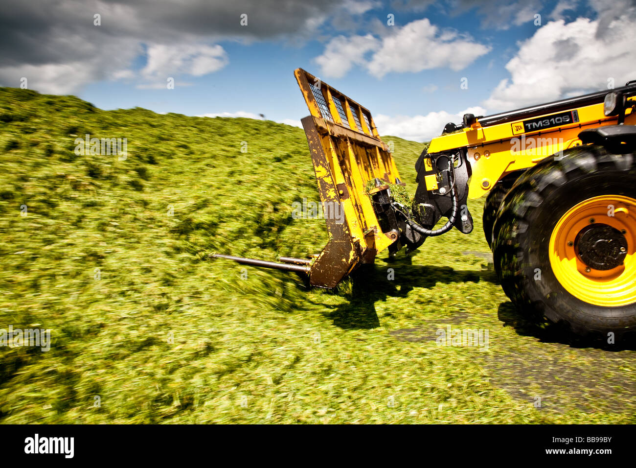 JCB 310s il Movimentatore telescopico di imballare l'erba nel morsetto di insilati a Norwood luogo farm nel Surrey che è principalmente un caseificio Foto Stock