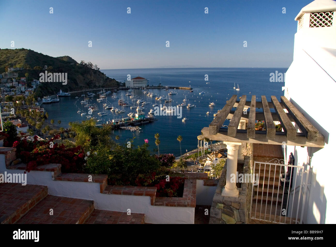 Avalon Harbour sulla isola Catalina California USA Foto Stock