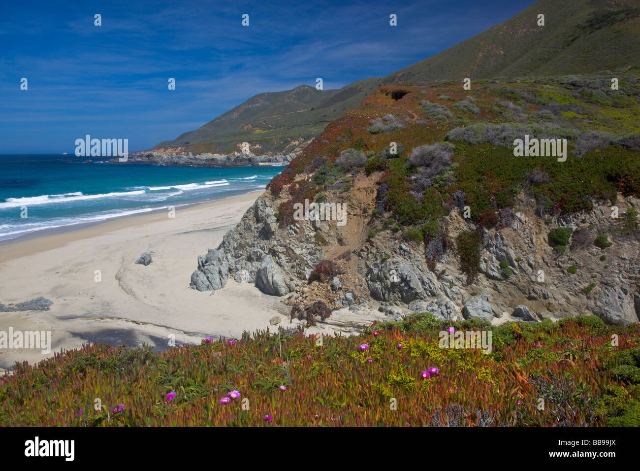 Garrapata State Park CA promontori rocciosi di soddisfare il surf e la spiaggia a Garrapata spiaggia con impianto di ghiaccio fioritura in primo piano Foto Stock