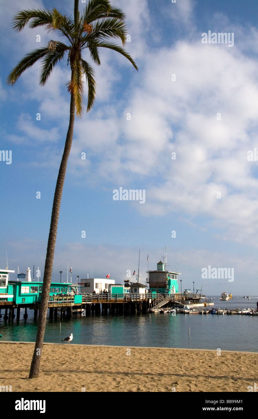 Il molo di verde nel porto di Avalon sull isola Catalina California USA Foto Stock