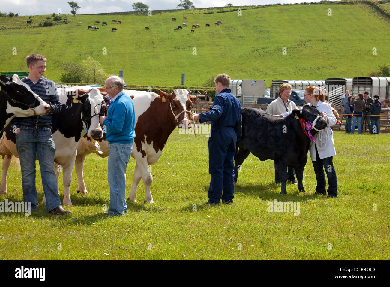 Parte della Parata di campioni a uno spettacolo agricolo. Foto Stock