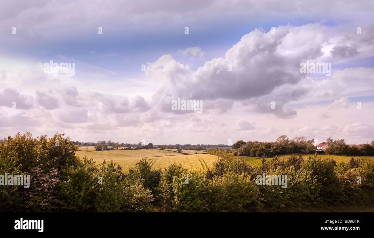 Estate cloud cielo al di sopra di un paesaggio rurale, Herts Beds UK Foto Stock