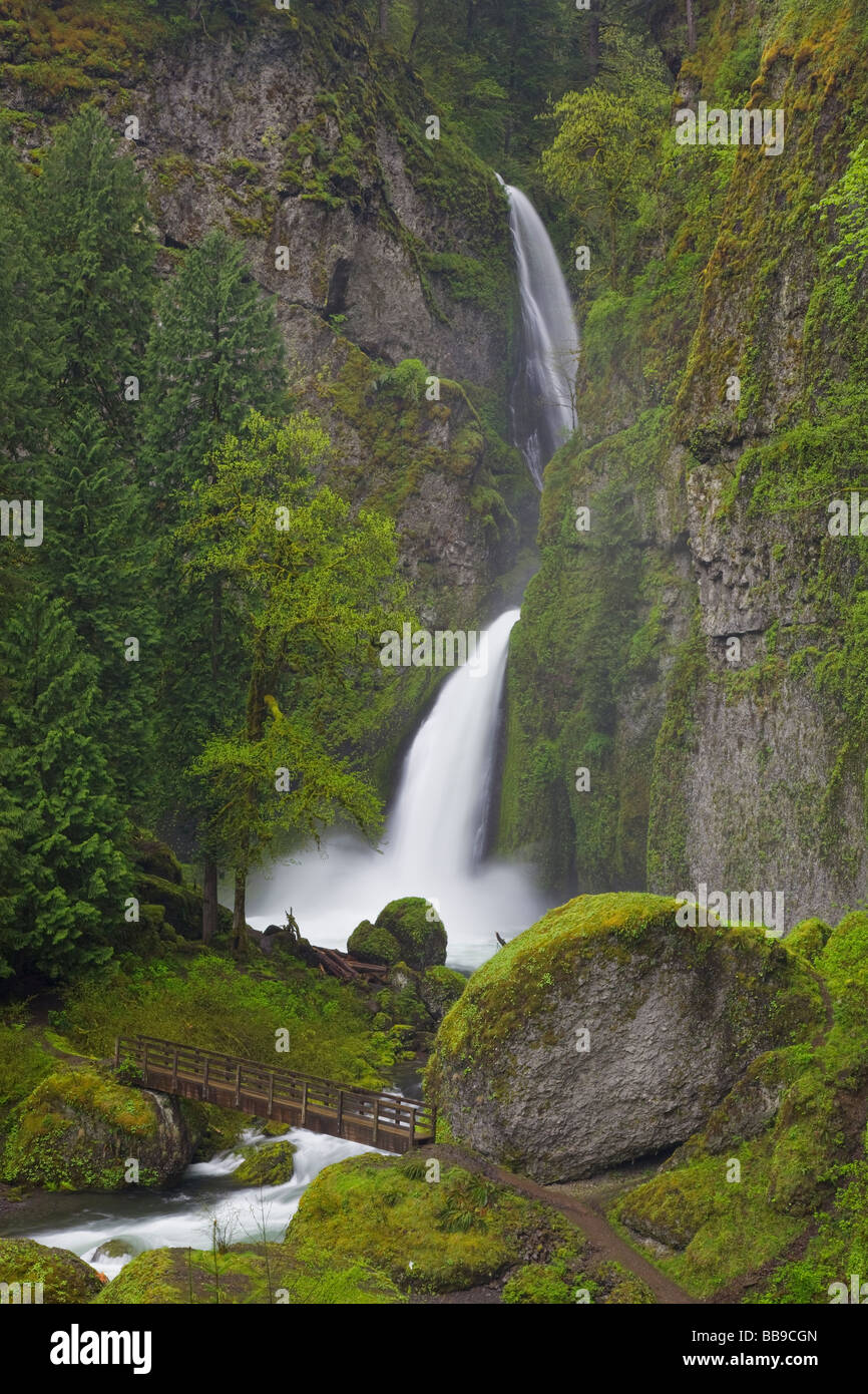 Wahclella Falls in Columbia Gorge National Scenic Area, Mount Hood National Forest, o Foto Stock