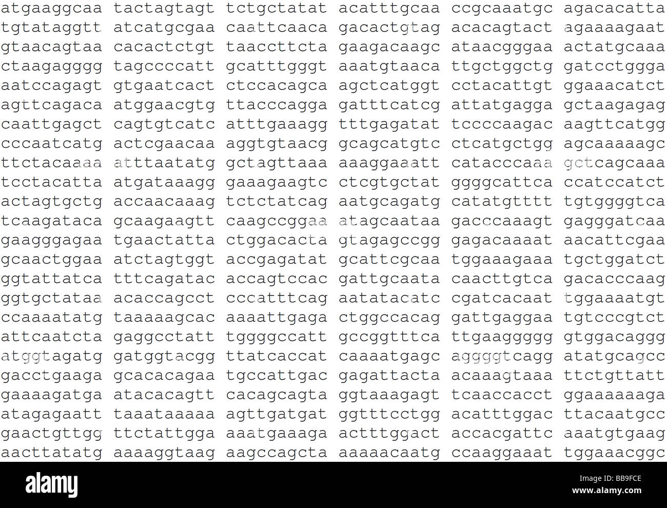 Parziale il codice genetico di peste aviaria H1N1 isolato dal focolaio iniziale in Messico Foto Stock