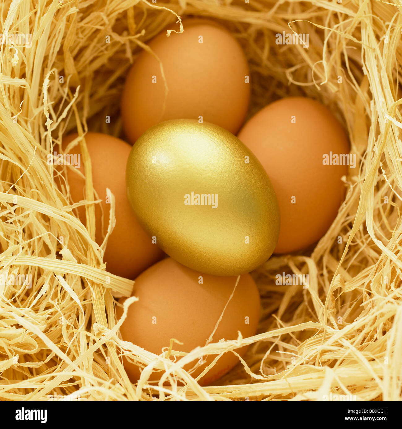 Un uovo di oro entro un nido di uova normale in rappresentanza di buona fortuna. Foto Stock