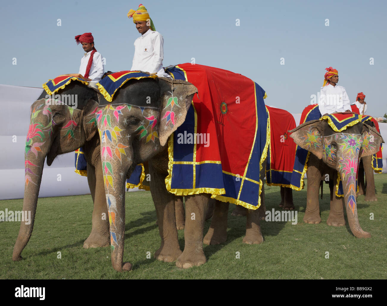 Gli elefanti con i piloti al Festival di elefante Jaipur India Rajasthan Foto Stock
