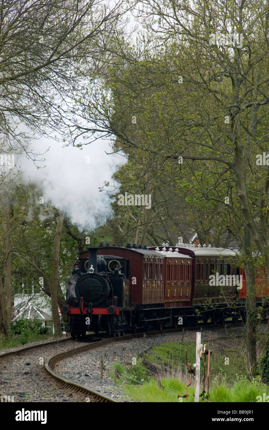 Terrier motore a vapore, Kent e East Sussex Railway, Tenterton, Kent, England, Regno Unito Foto Stock