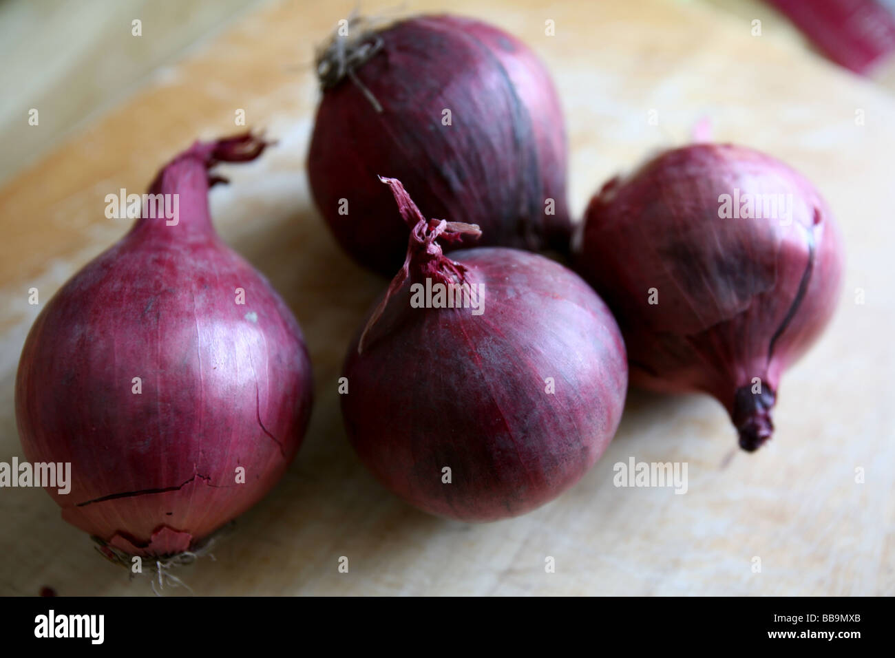 Cipolla rossa organic Foto Stock