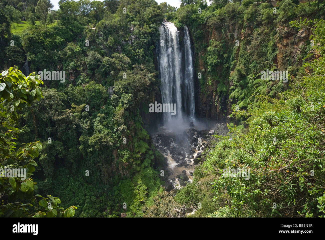 Thompson s cade Nanyuki Kenya Africa orientale Foto Stock