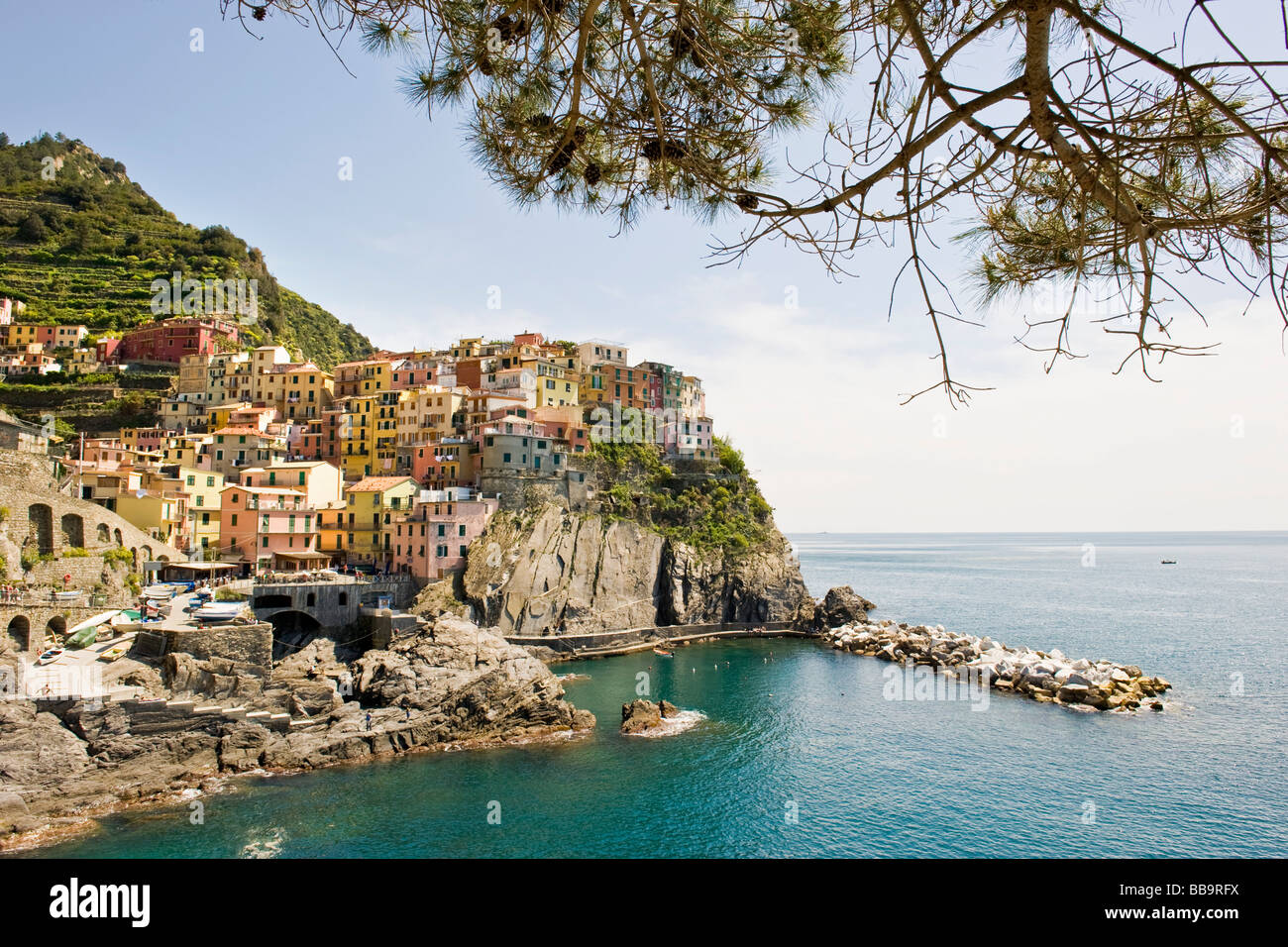 Manarola provincia di La Spezia Foto Stock