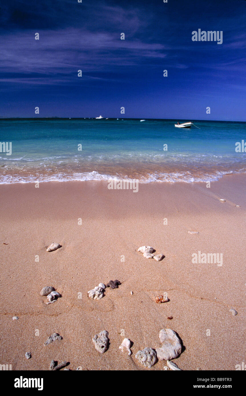 Una collezione di rocce si raccoglie sulla spiaggia di Tavarua nelle isole Fiji Foto Stock