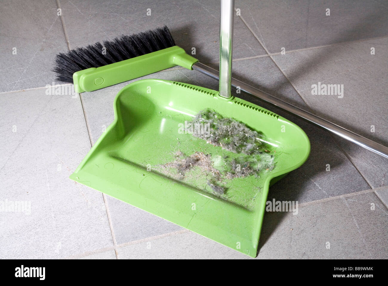 La paletta sul pavimento ginestra e polvere di casa foto & immagine ... Polvere in casa