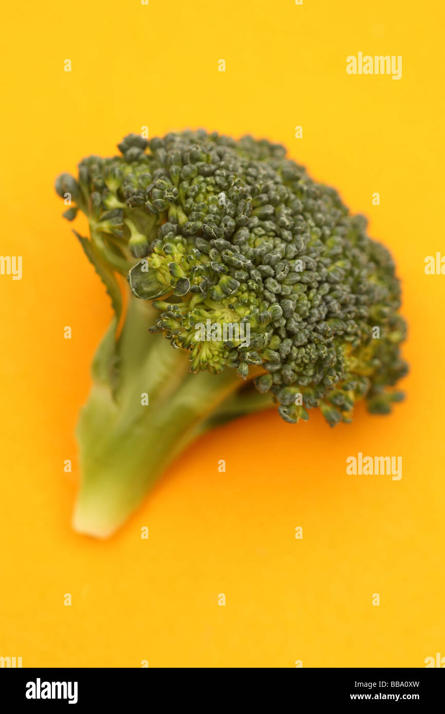 Broccoli verdi fiorellino vegetali su sfondo giallo con copyspace Foto Stock