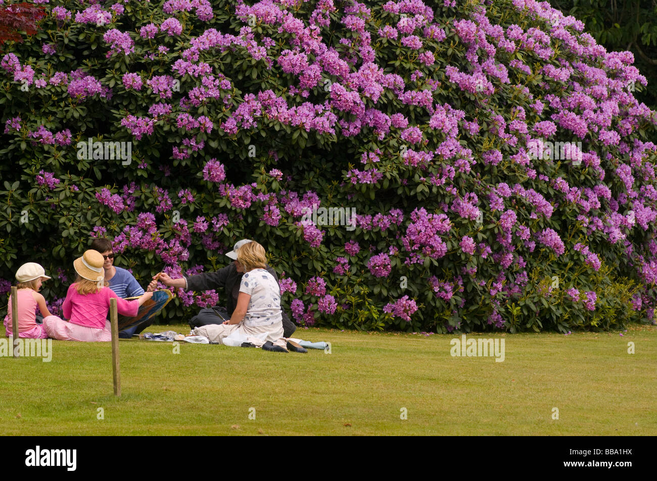 Famiglia avente un picnic sul prato di Leonardslee Gardens West Sussex England Foto Stock
