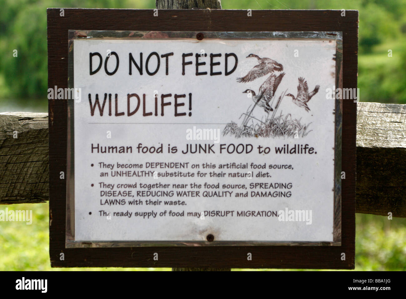 Lettura del segno non alimentare la fauna selvatica - cibo umano è il cibo spazzatura per la fauna selvatica Foto Stock