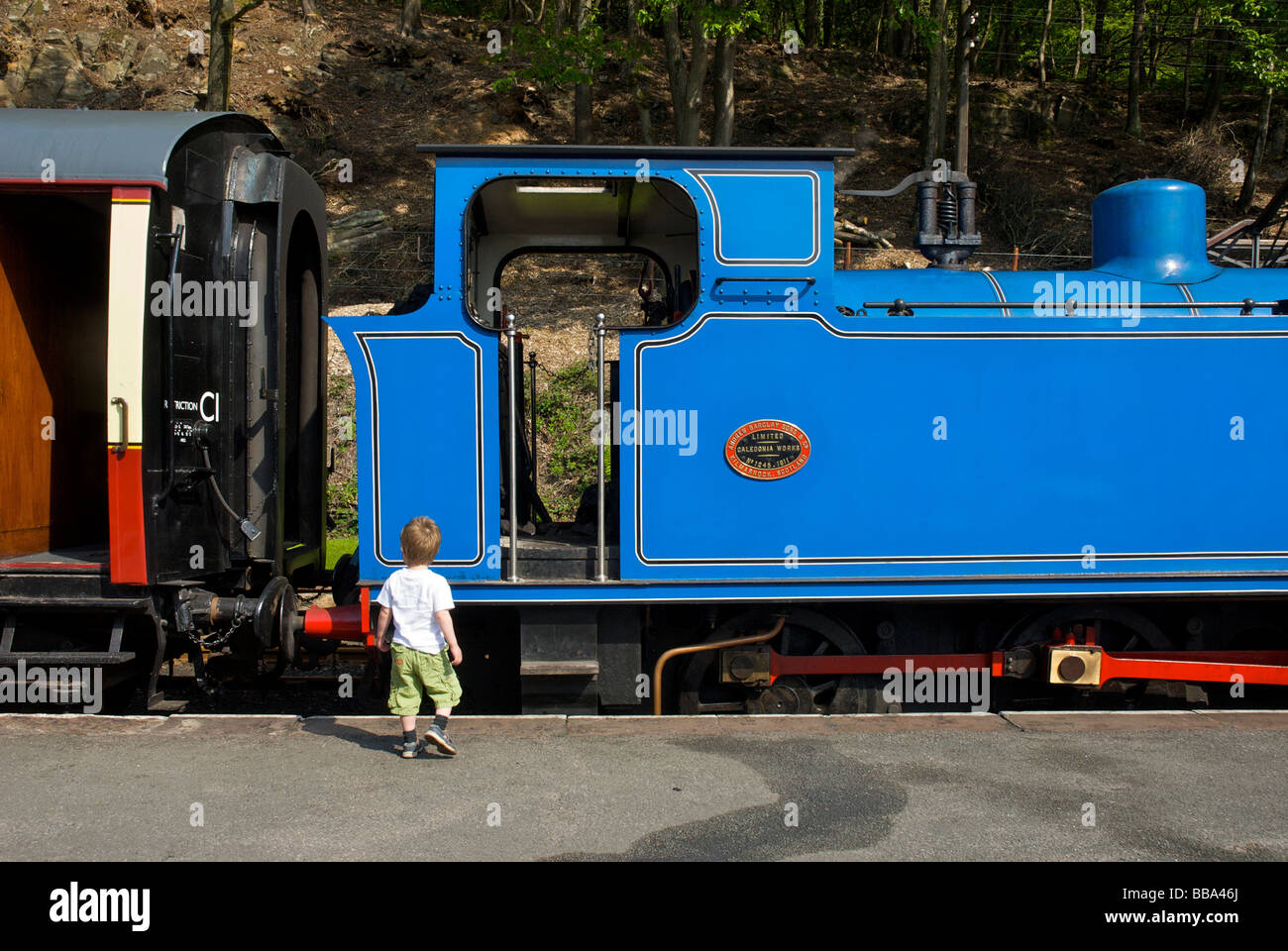 Piccolo Ragazzo che guarda al treno, al lago & Haverthwaite ferroviarie, South Lakeland, Cumbria, England Regno Unito Foto Stock