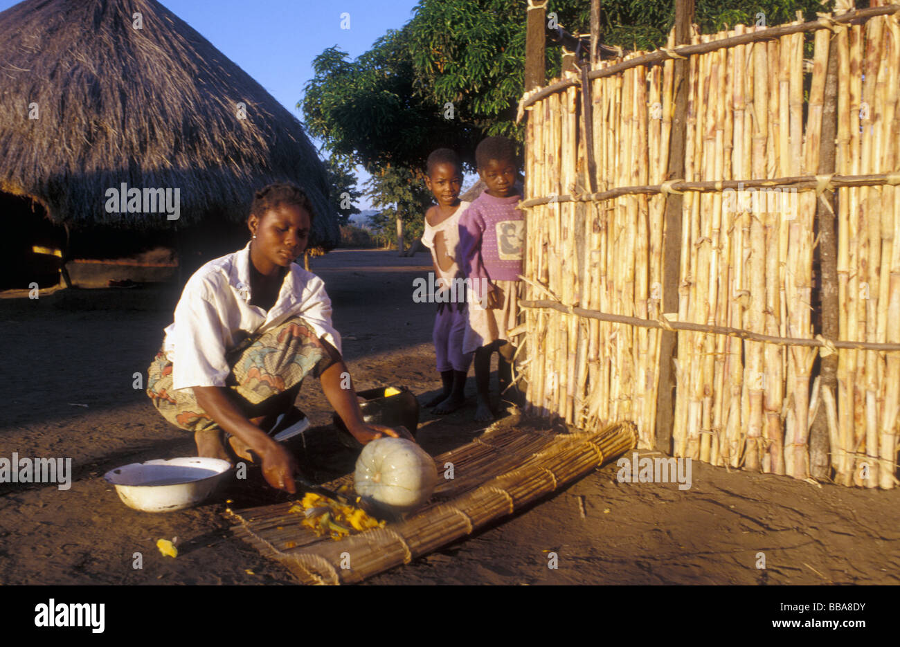 Kunda village scena sth luangwa gioco area gestione Zambia Foto Stock