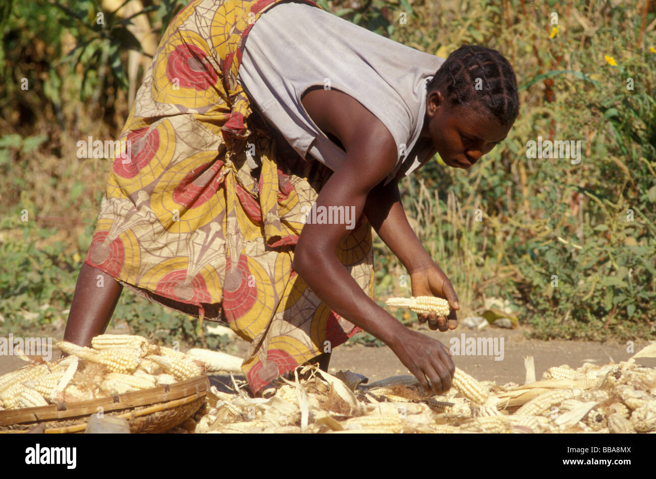 Kunda village scena sth luangwa gioco area gestione Zambia Foto Stock