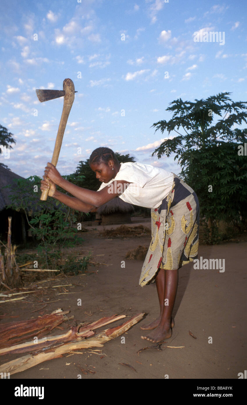 Kunda village scena sth luangwa gioco area gestione Zambia Foto Stock