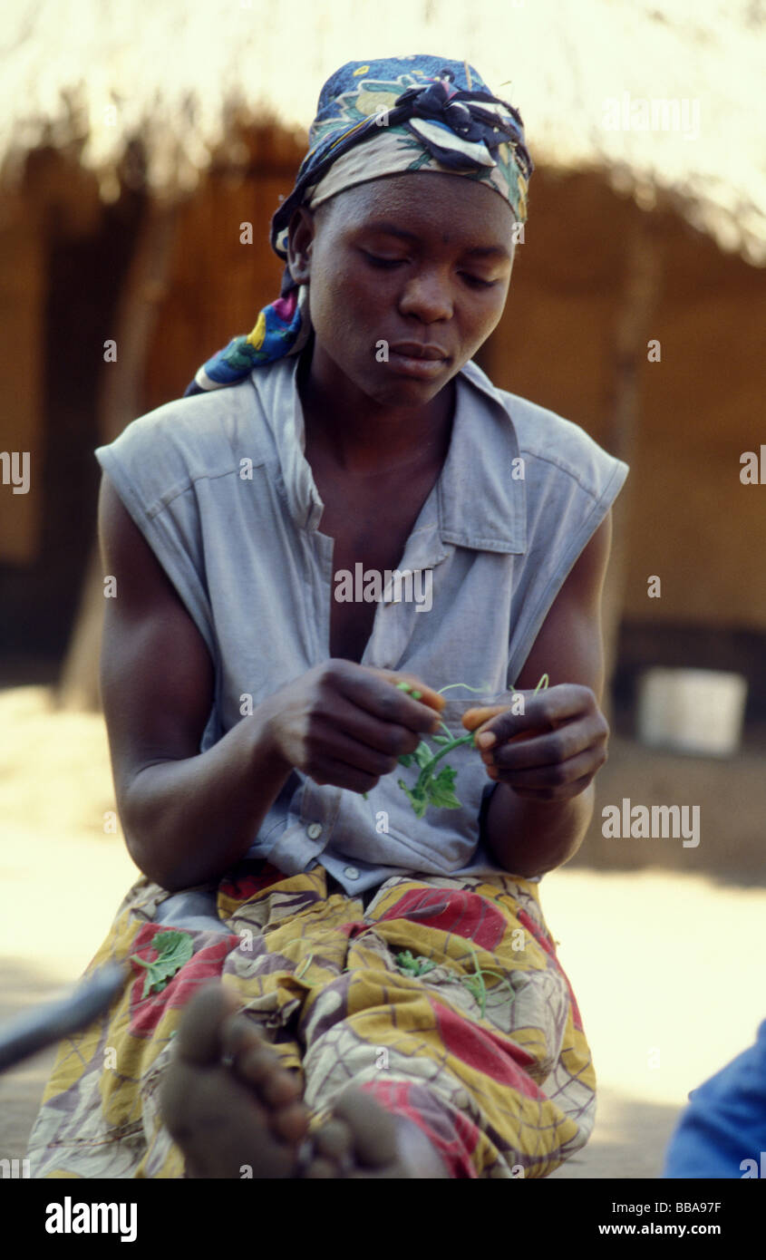 Kunda village scena sth luangwa gioco area gestione Zambia Foto Stock