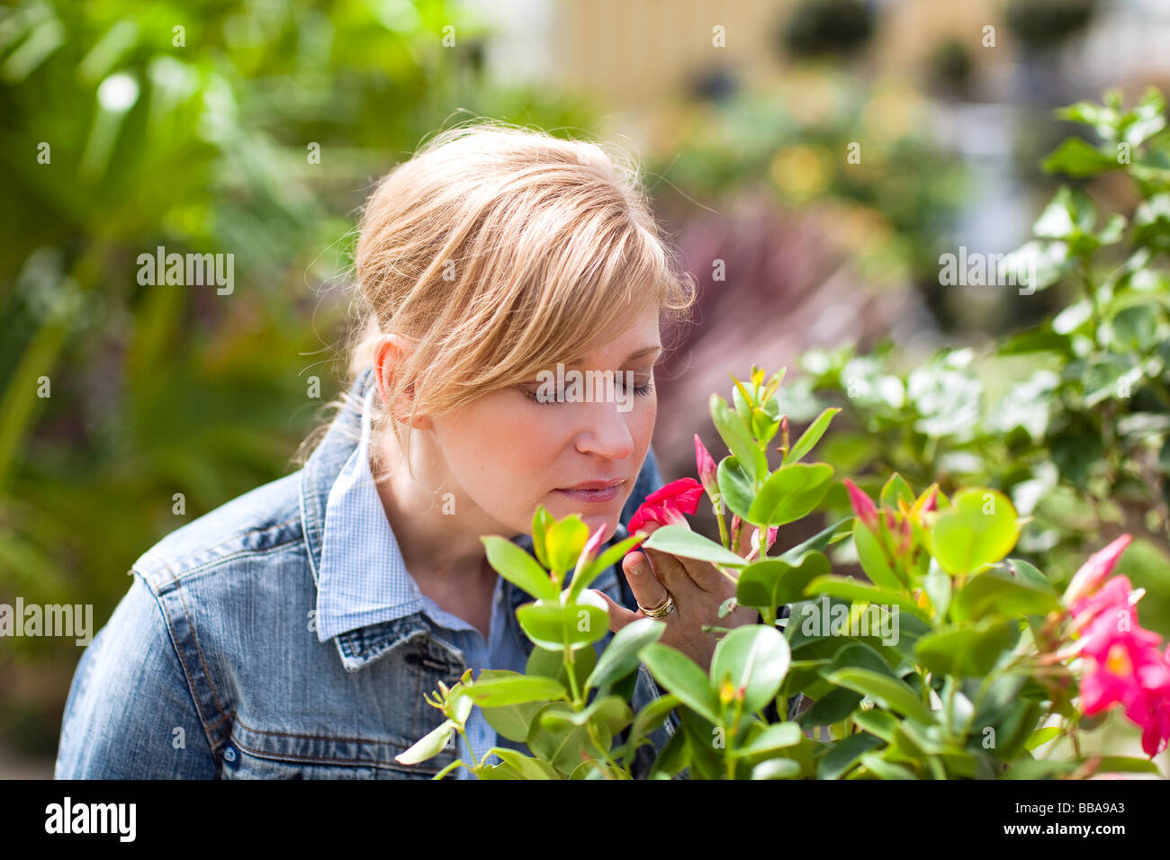 Donna profumati fiori in una serra. Foto Stock