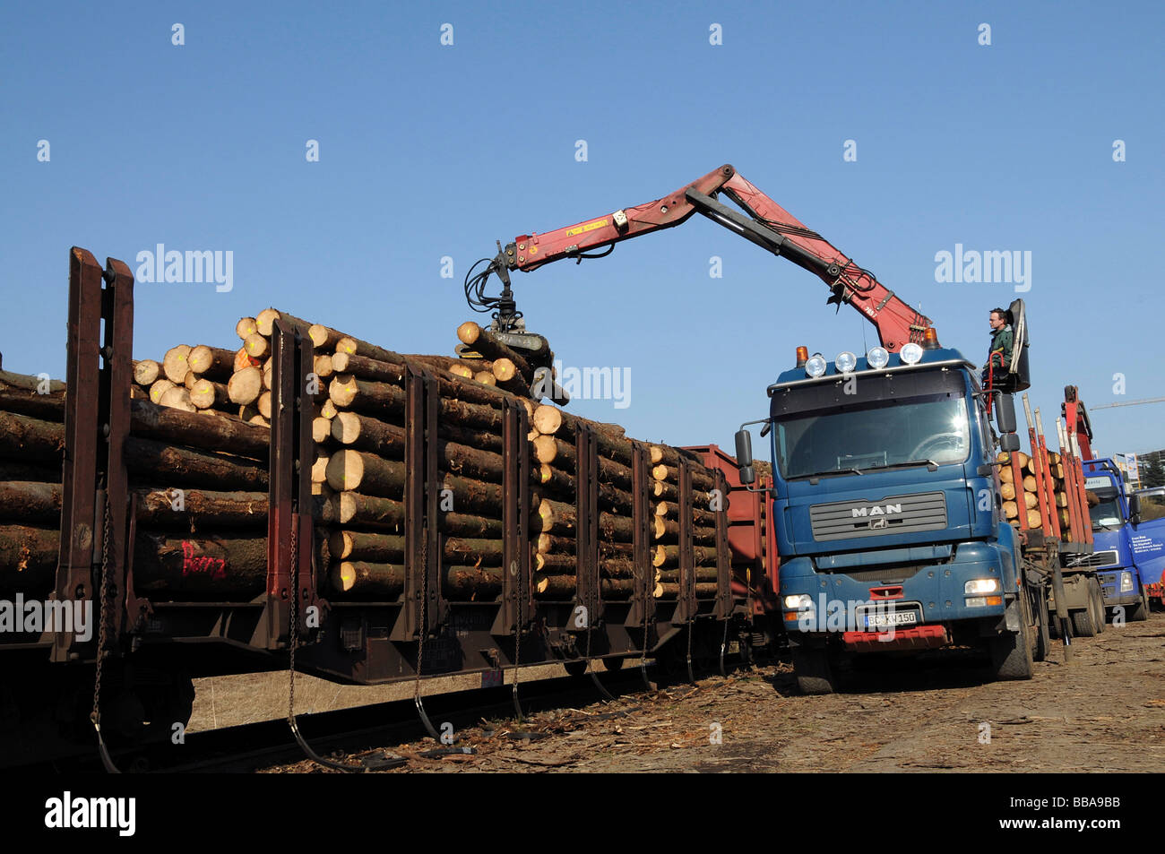 Rottura del vento da Kirill uragano essendo caricato da un camion su un treno, Wittgenstein, Renania settentrionale-Vestfalia, Germania Foto Stock