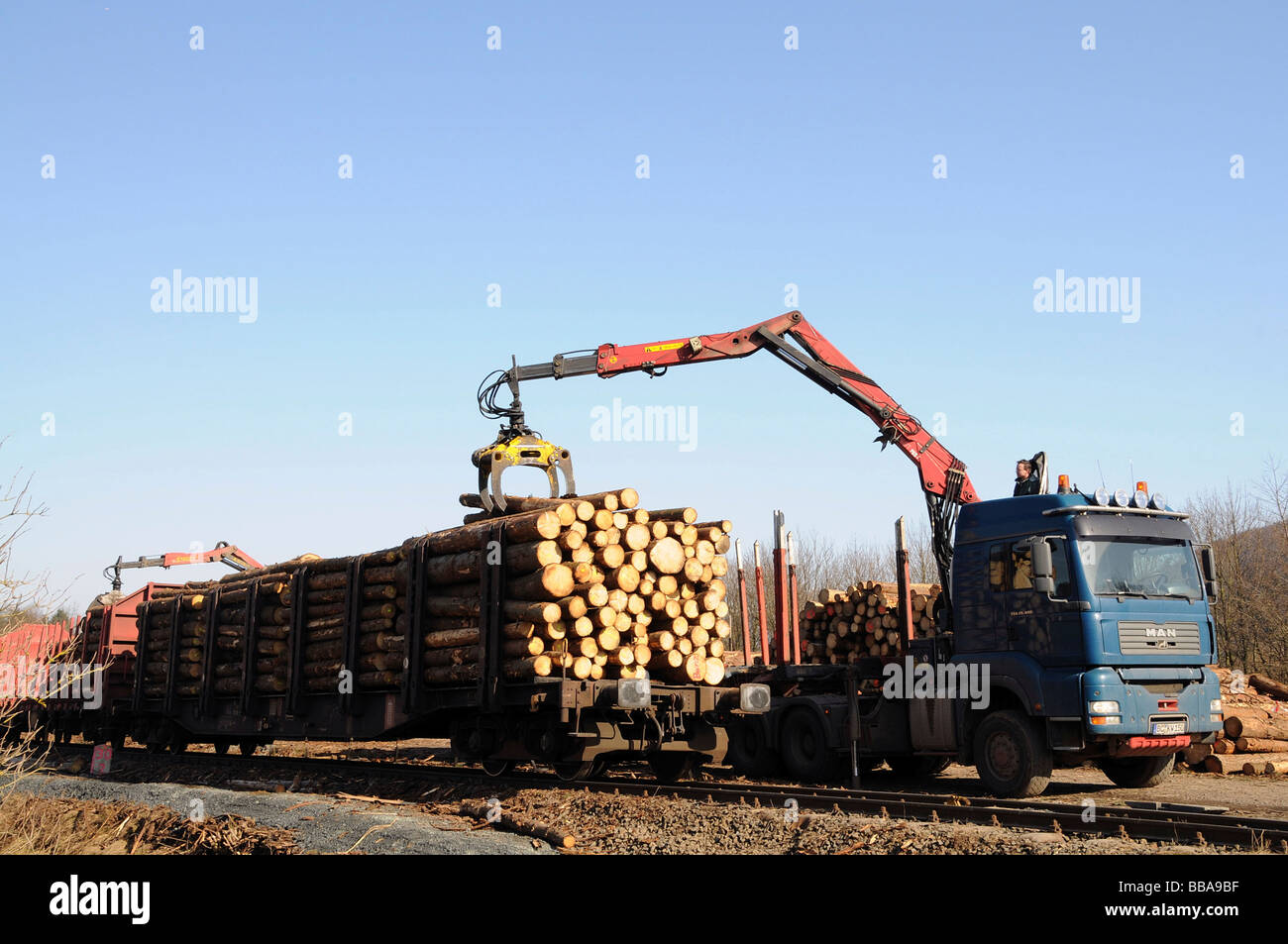 Rottura del vento da Kirill uragano essendo caricato da un camion su un treno, Wittgenstein, Renania settentrionale-Vestfalia, Germania Foto Stock