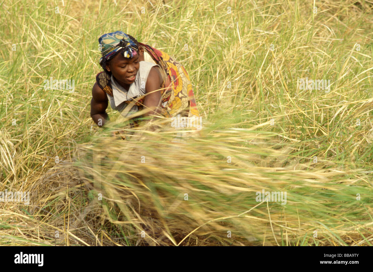Kunda village scena sth luangwa gioco area gestione Zambia Foto Stock
