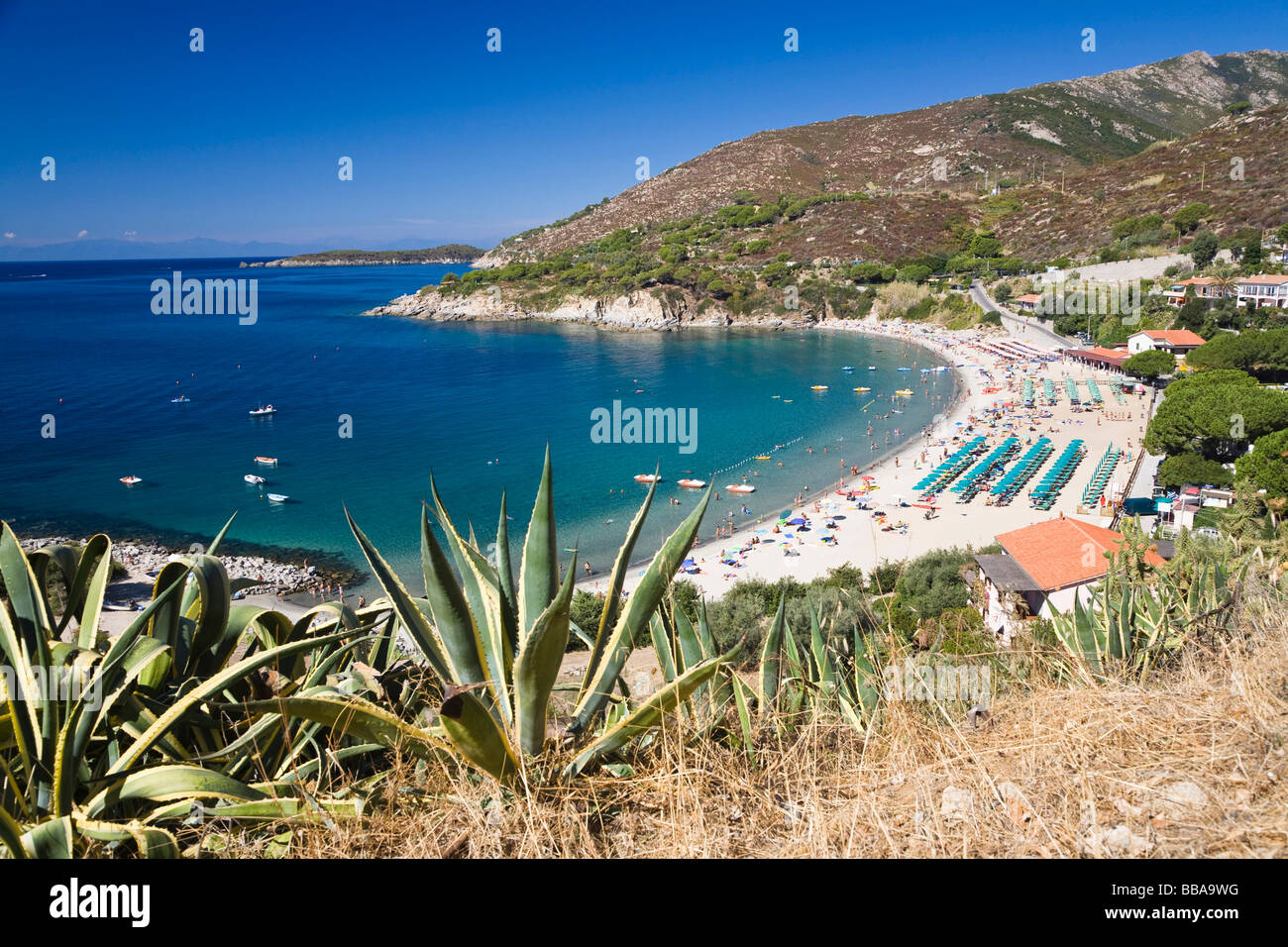 Baia di Cavoli, Isola d'Elba, Toscana, Italia, Mare Mediterraneo, Europa Foto Stock