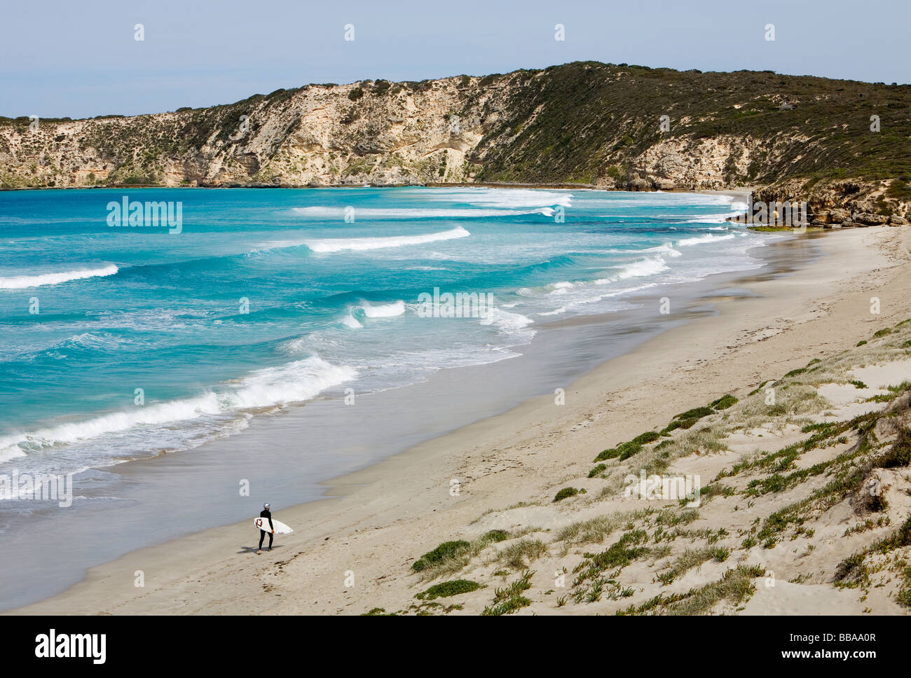 Un surfista passeggiate lungo la spiaggia nella pittoresca baia di Pennington. Kangaroo Island, South Australia, Australia Foto Stock