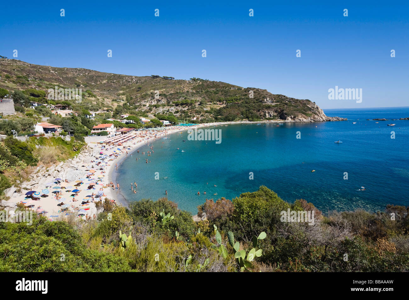 Spiaggia di Cavoli Isola d'Elba, Toscana, Italia, Mare Mediterraneo, Europa Foto Stock