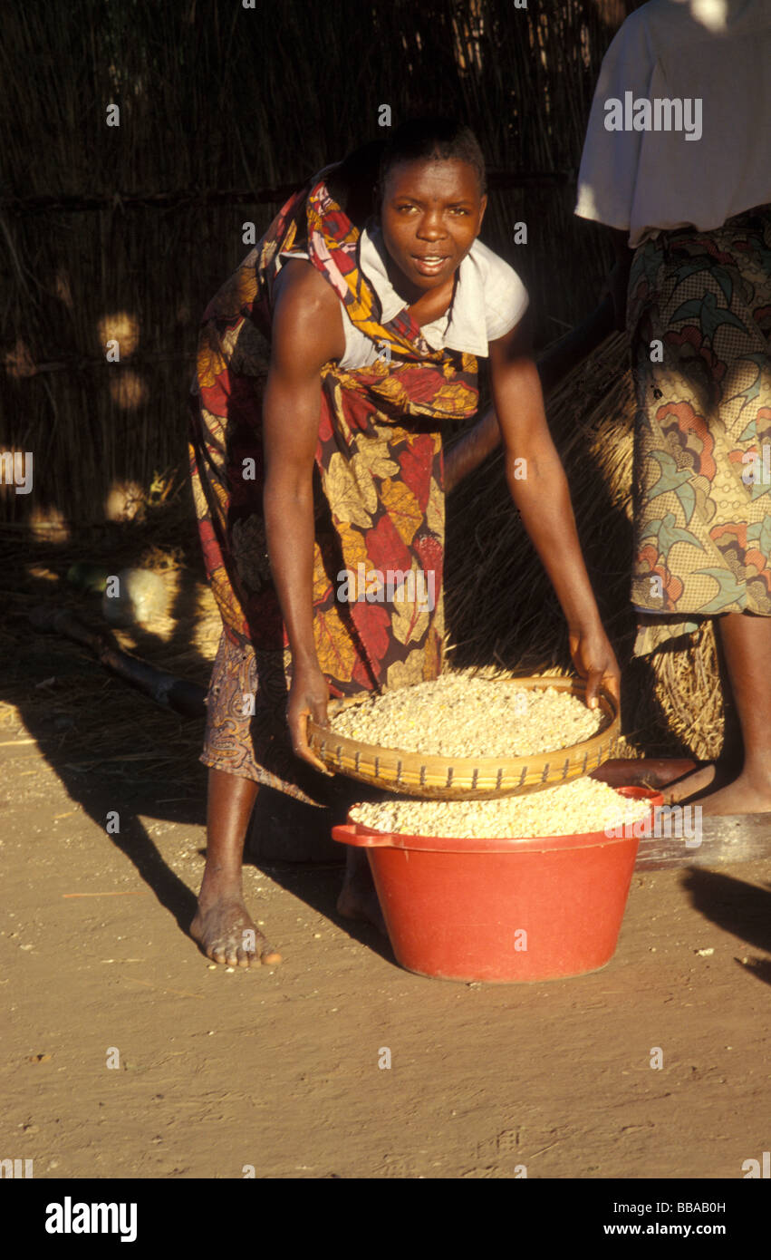 Kunda village scena sth luangwa gioco area gestione Zambia Foto Stock