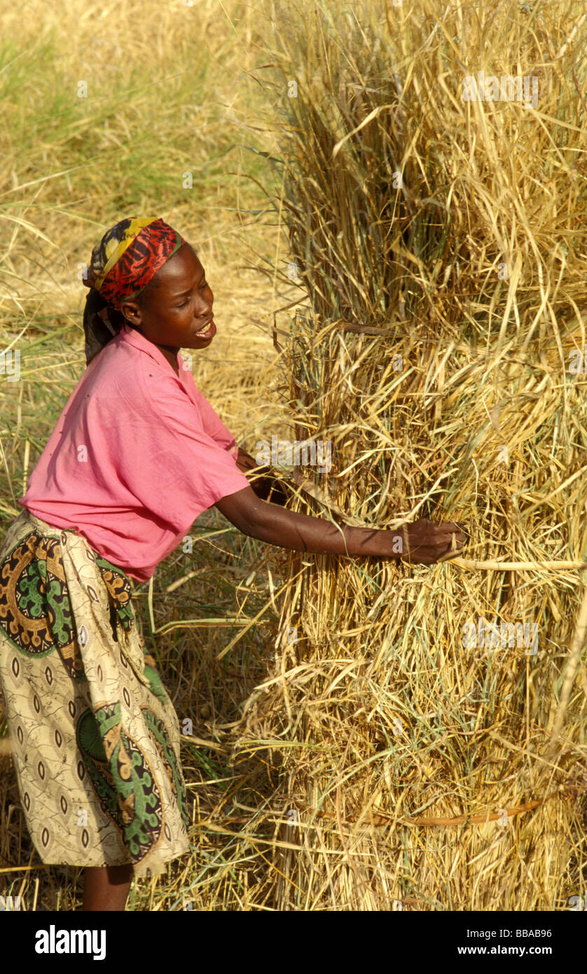 Kunda village scena sth luangwa gioco area gestione Zambia Foto Stock