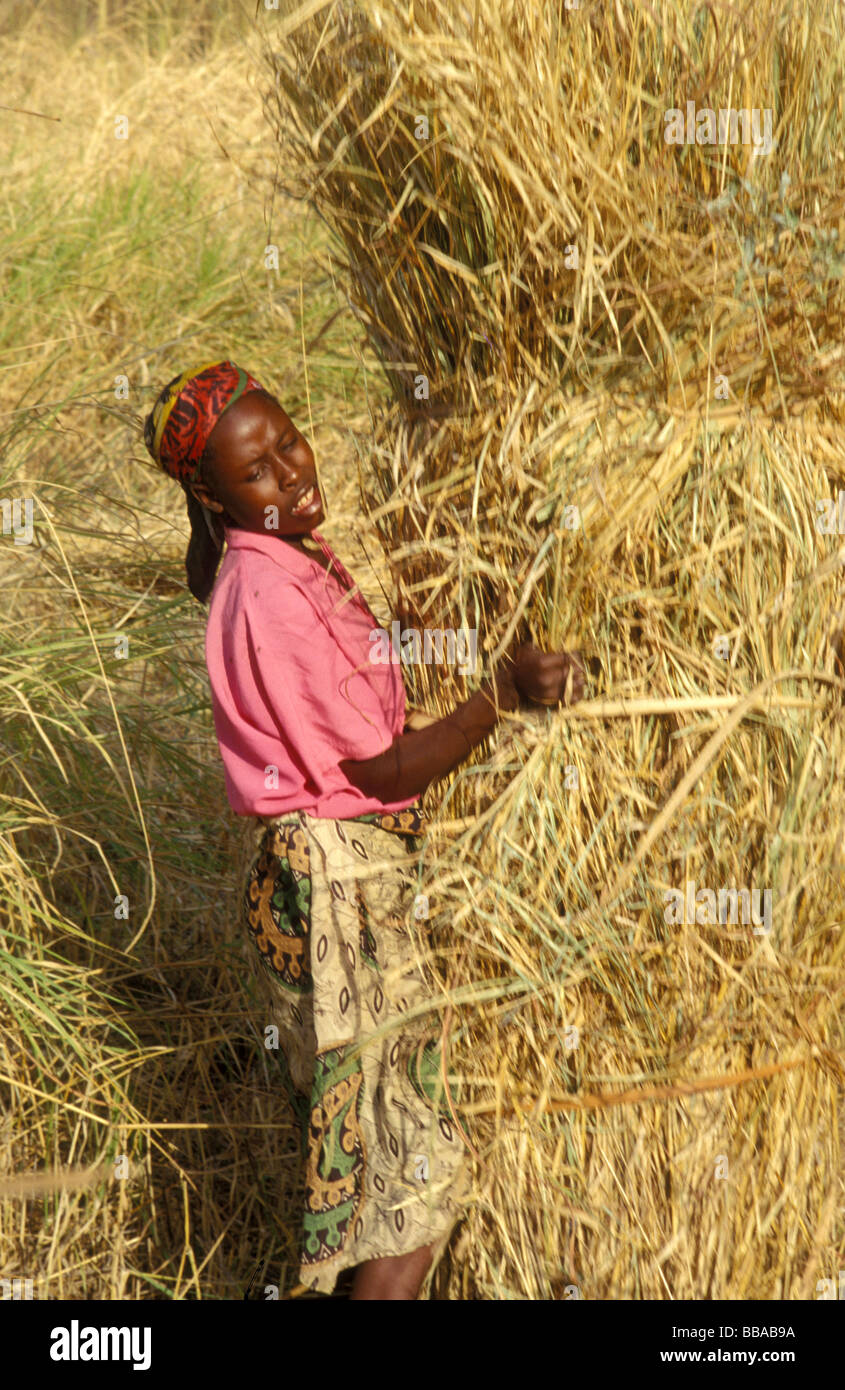 Kunda village scena sth luangwa gioco area gestione Zambia Foto Stock