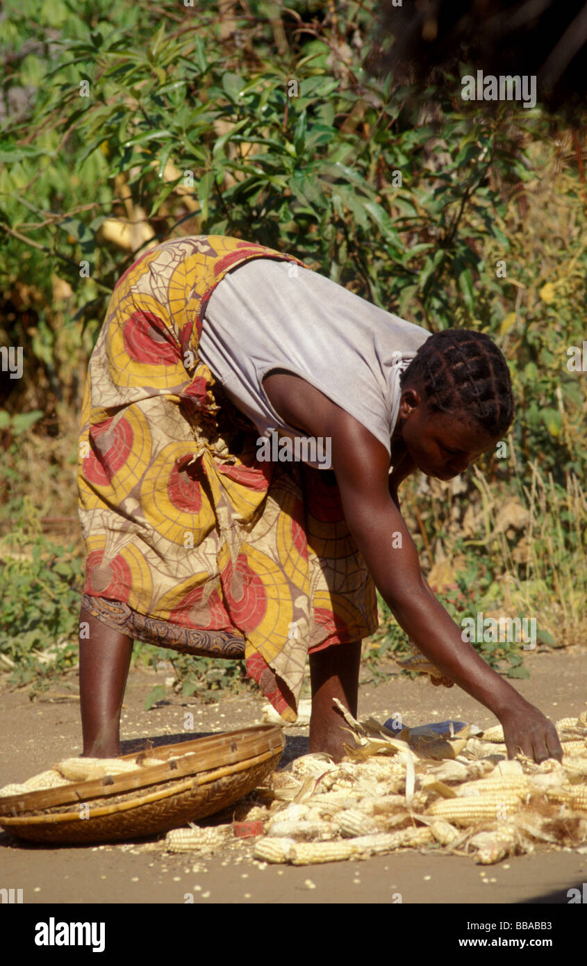 Kunda village scena sth luangwa gioco area gestione Zambia Foto Stock