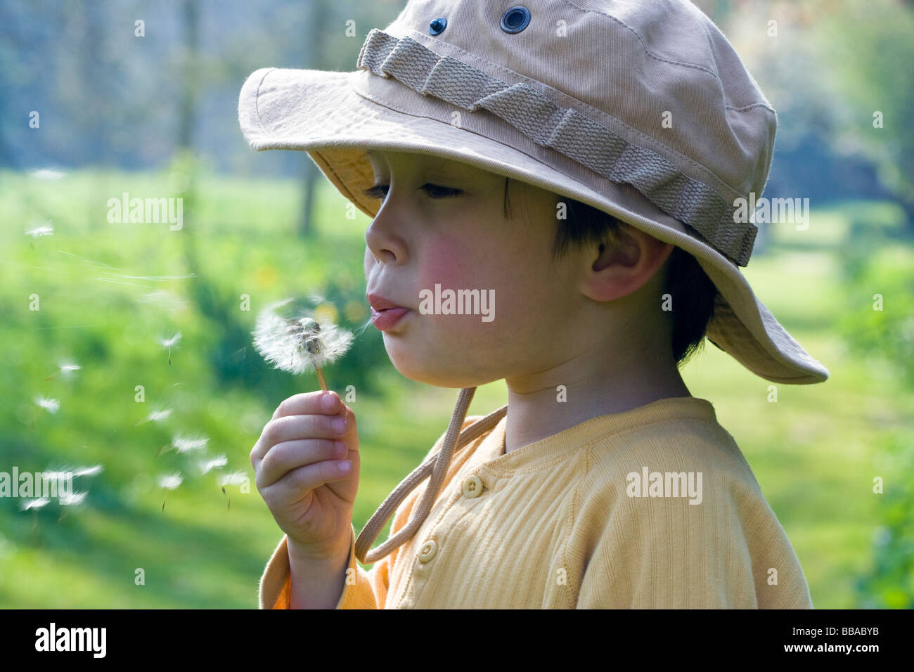 Primo piano vista laterale di bambino, ragazzo, 7-8 anni, indossare capanna floppy e tenere dente di leone di fronte alla bocca mentre soffia via i semi. All'aperto. Foto Stock