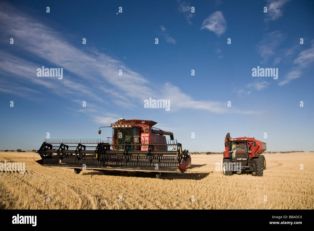 Una mietitrebbia e il trattore in un campo Foto Stock