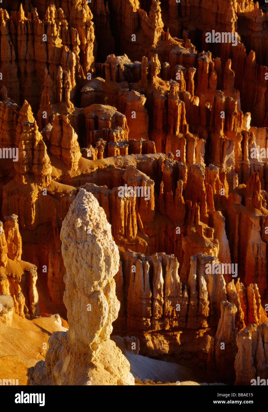 Le formazioni rocciose, Bryce Canyon dello Utah, Stati Uniti d'America Foto Stock