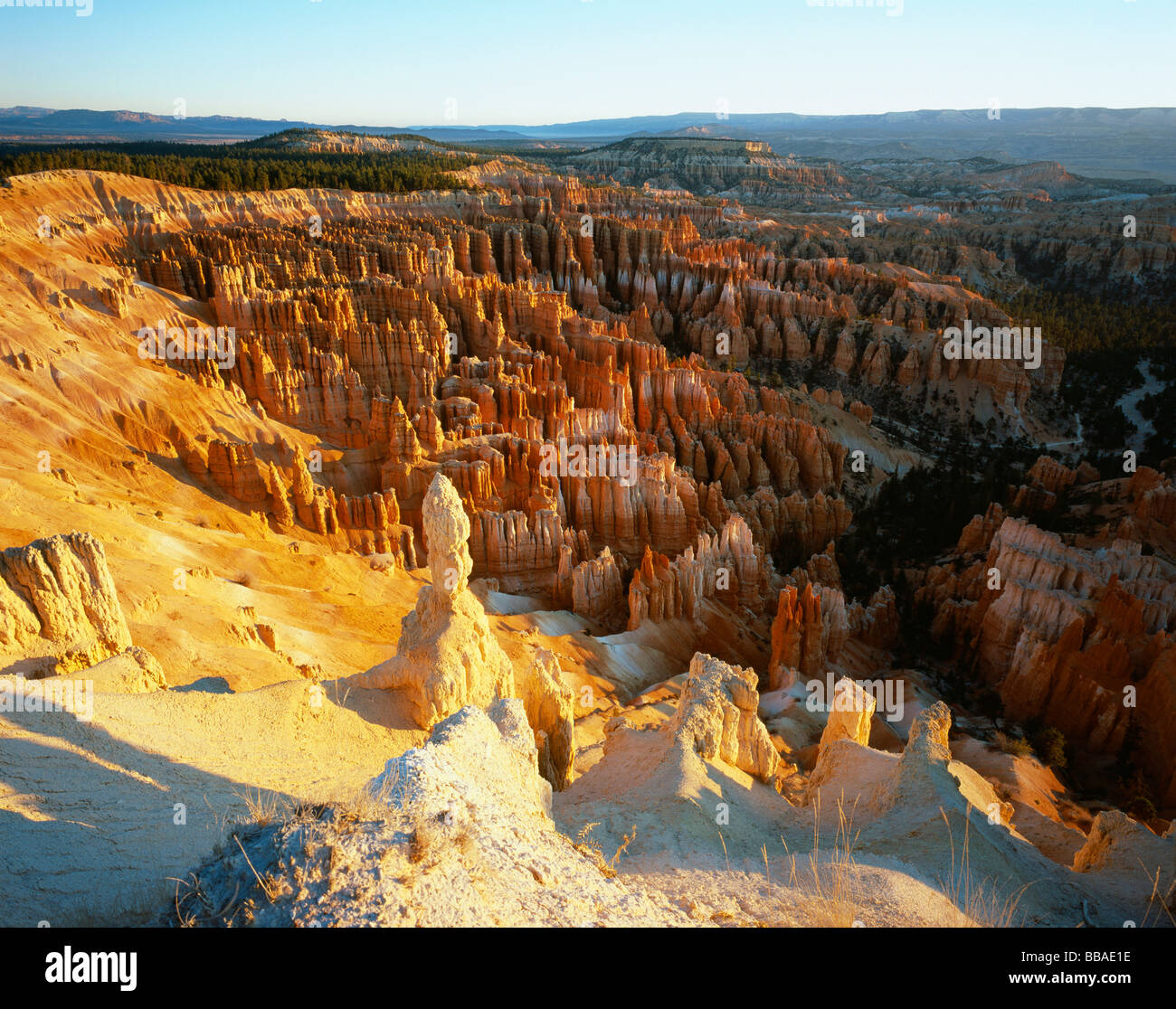 Vista sulle formazioni rocciose, Bryce Canyon dello Utah, Stati Uniti d'America Foto Stock