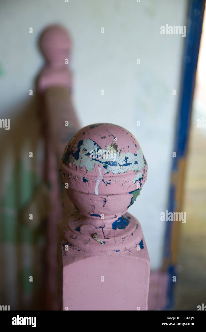 alberino di Newel Foto Stock