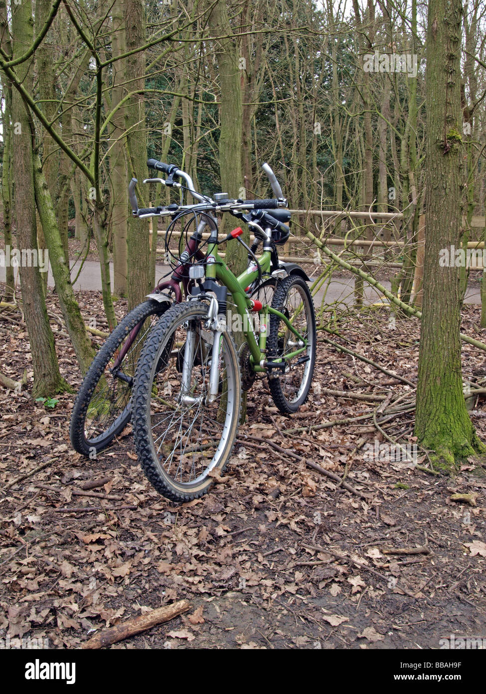 Due biciclette bloccato ad un albero. Foto Stock