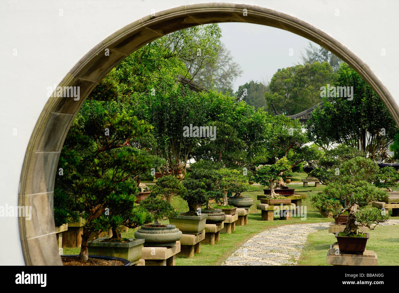 Alberi di Bonsai visto attraverso un portale ad arco al Giardino Cinese, Singapore Foto Stock