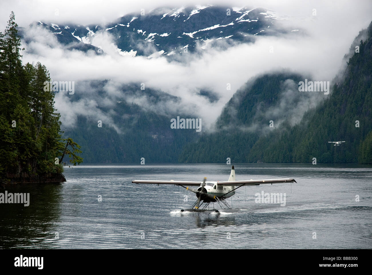 Piano di galleggiante nella baia Rudyerd Misty Fjords National Monument Alaska USA Foto Stock