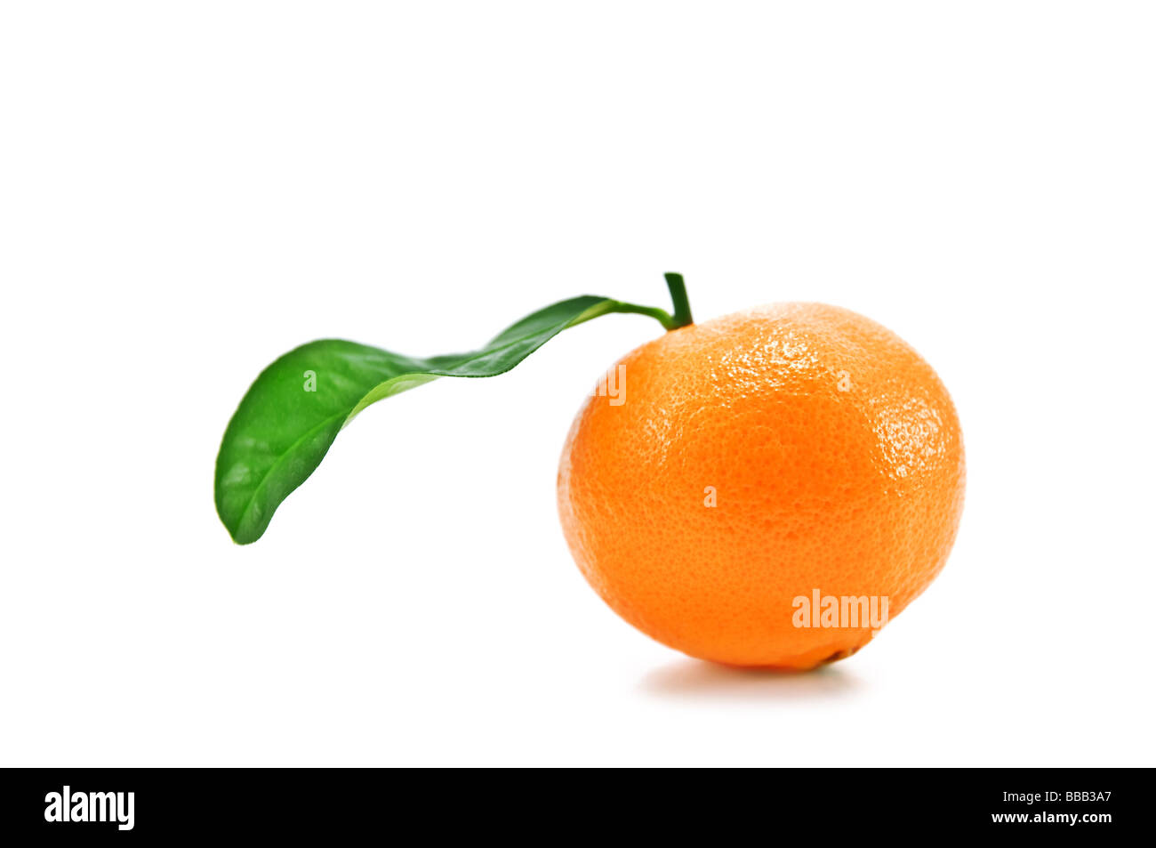 Mandarin isolato su bianco Foto Stock