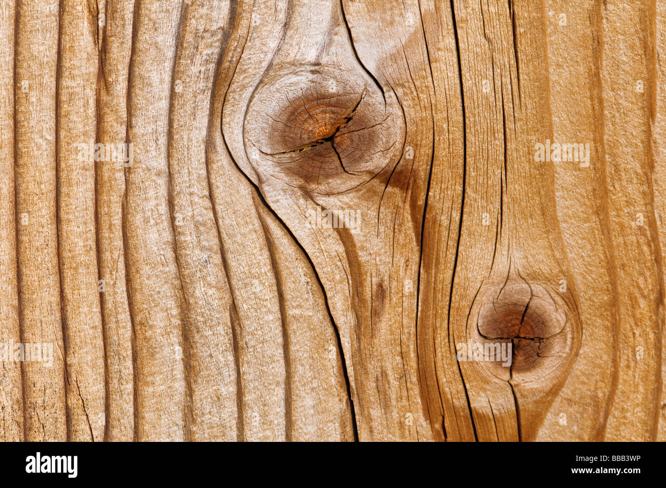 Texture legno closeup Foto Stock