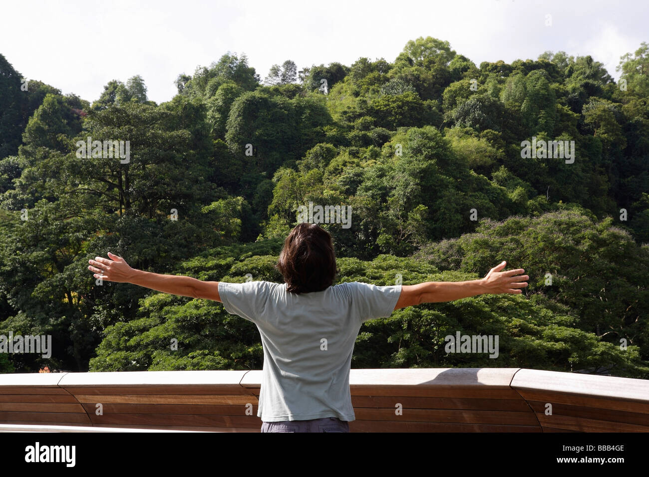 Uomo con le braccia aperte per alberi Foto Stock